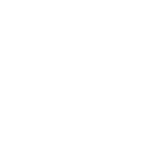Your Favorite Life